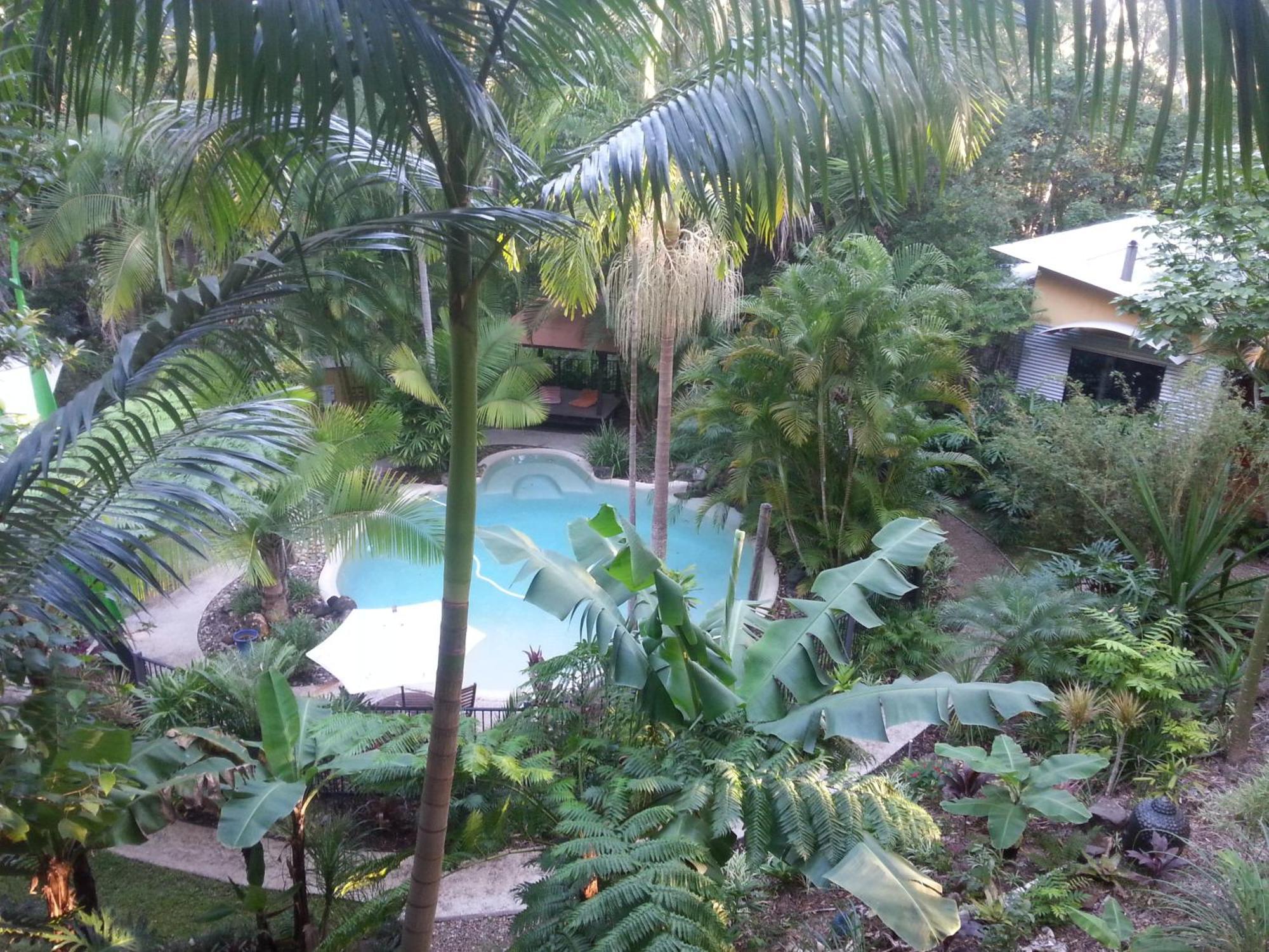 Alaya Escape Bed & Breakfast Eudlo Rom bilde