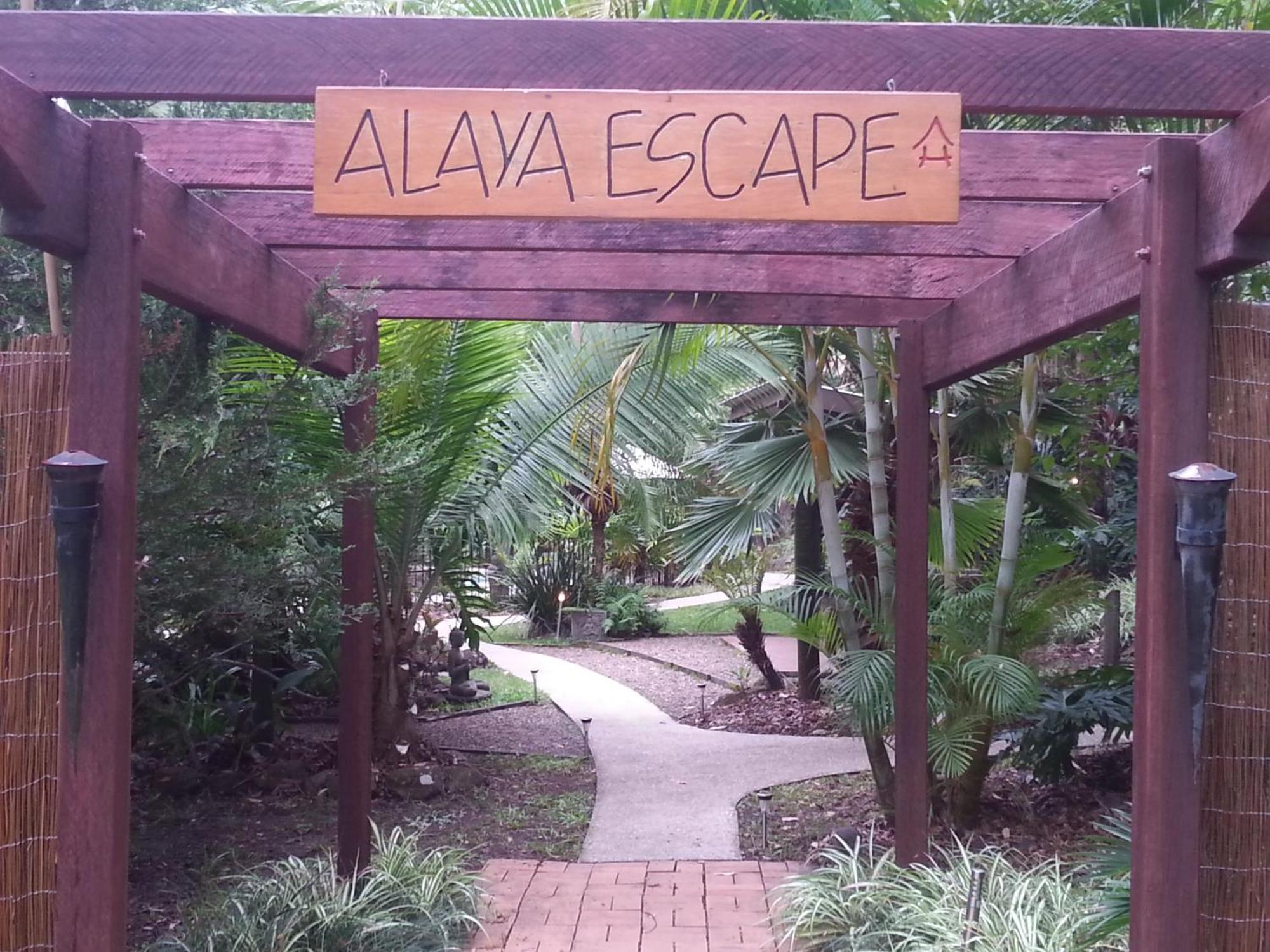 Alaya Escape Bed & Breakfast Eudlo Eksteriør bilde